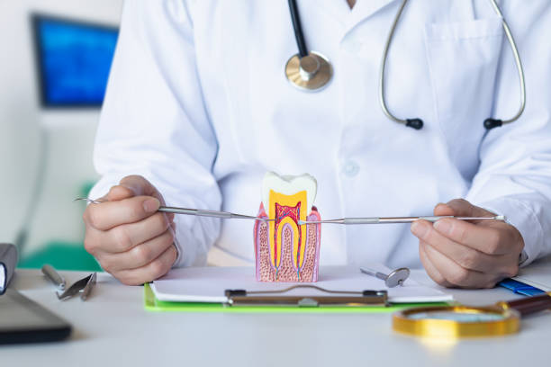 Best Emergency Dental Care for Trauma or Injury in Cresson, TX